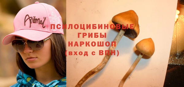 твердый Вязьма