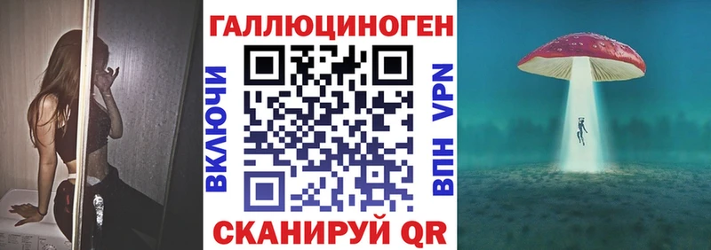 как найти   Камызяк  Псилоцибиновые грибы Psilocybe 